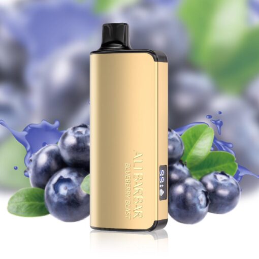 ALIBARBAR INGOT 9000 PUFF – BLUEBERRY BLAST